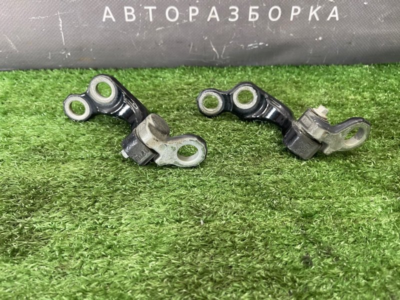 Петли двери Ford Focus 2 2009 CB