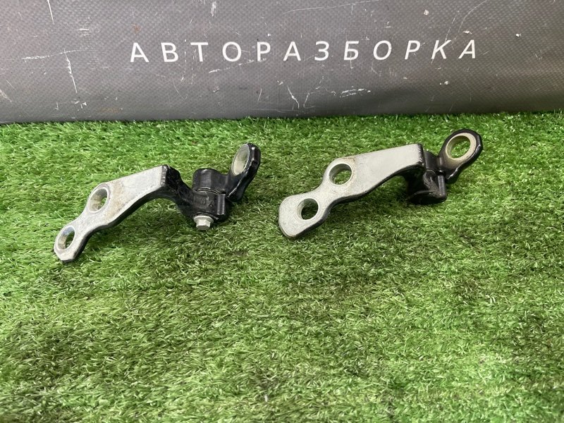 Петли двери Ford Focus 2 2009 CB