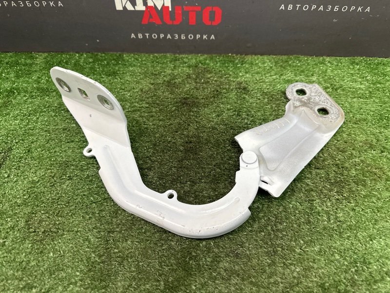 Петли капота Ford Focus 3 2012 MK3