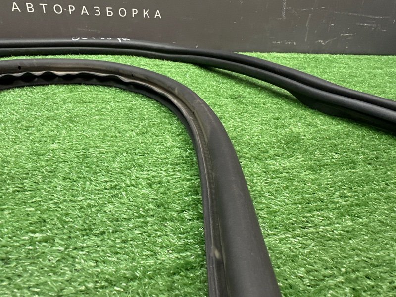 Уплотнитель проема двери Skoda Octavia 2014 A7