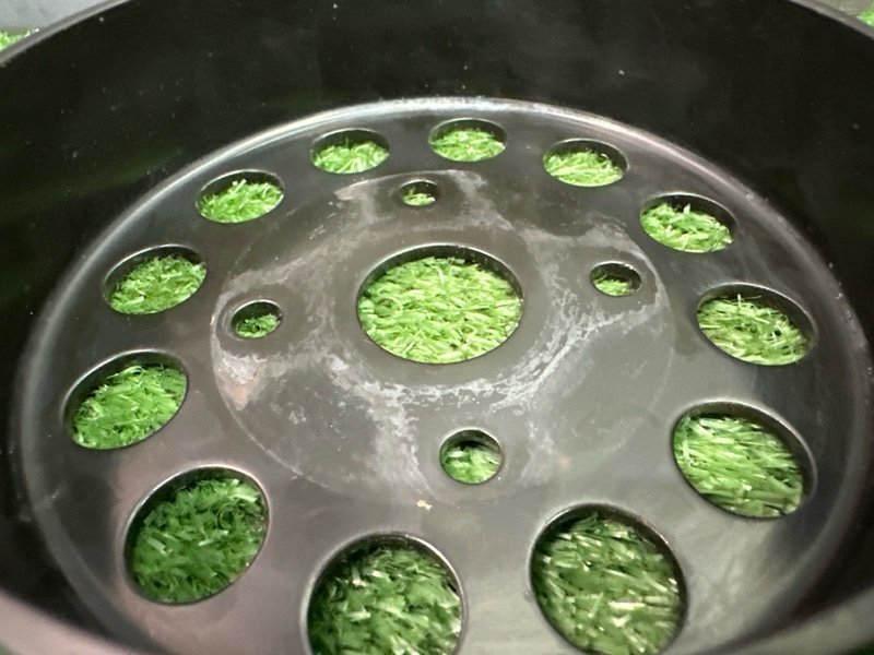 Шкив помпы Kia Ceed 1 2010 ED