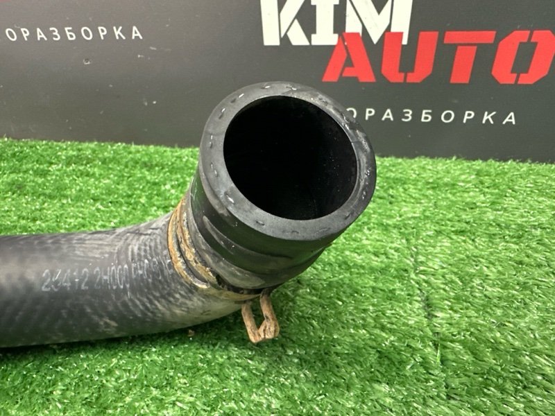 Патрубок радиатора нижний Kia Ceed 1 2010 ED