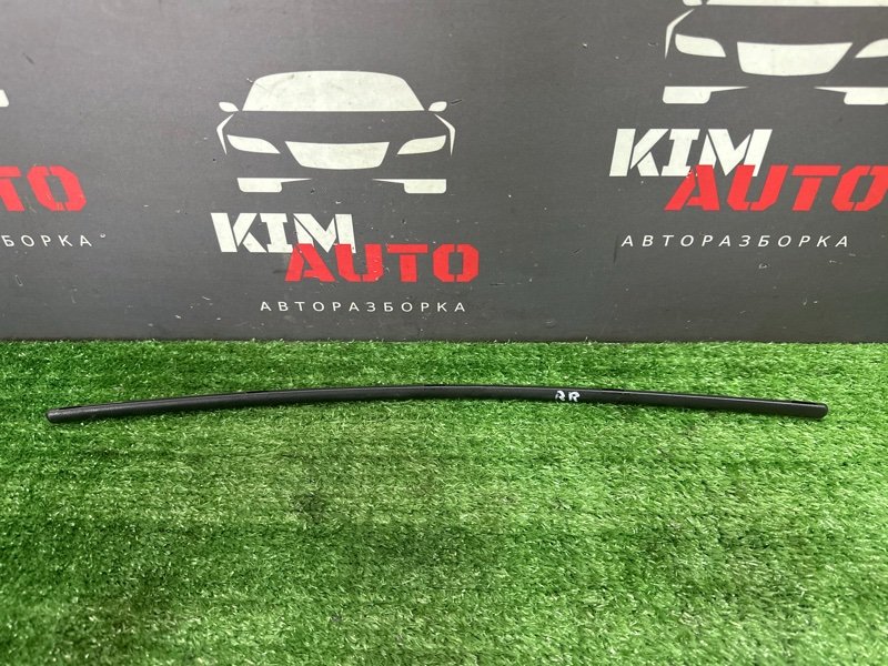 Молдинг двери Kia Ceed 1 2010 ED