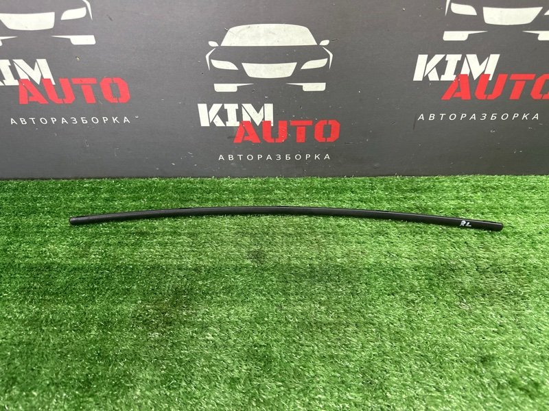 Молдинг двери Kia Ceed 1 2010 ED