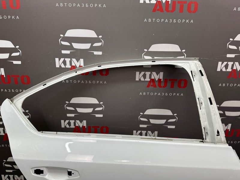 Дверь Skoda Octavia 2018 A7