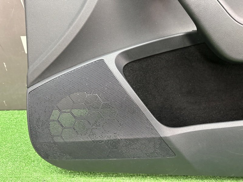 Обшивка двери Skoda Octavia 2018 A7
