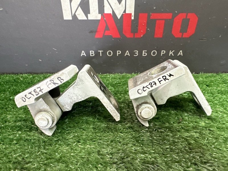 Петли двери Skoda Octavia 2018 A7