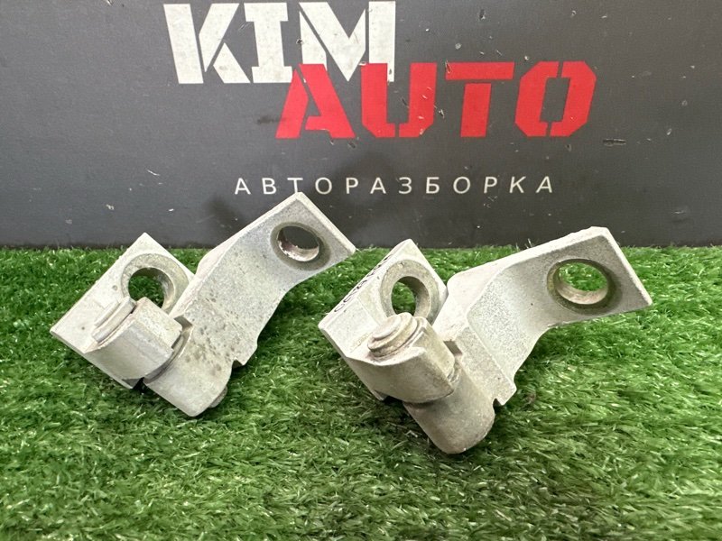 Петли двери Skoda Octavia 2018 A7