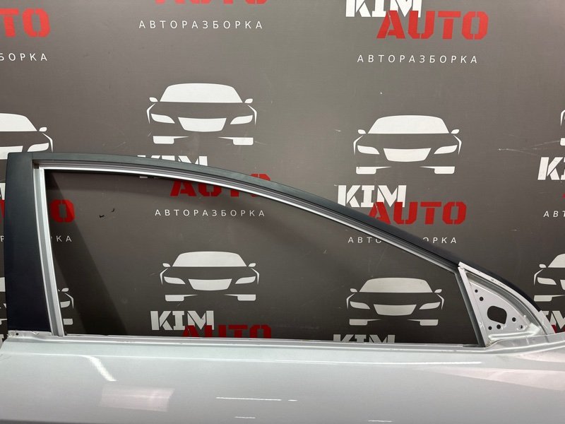 Дверь Hyundai Elantra 6 2017 AD