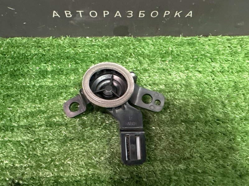 Динамик высокочастотный Hyundai Elantra 6 2017 AD
