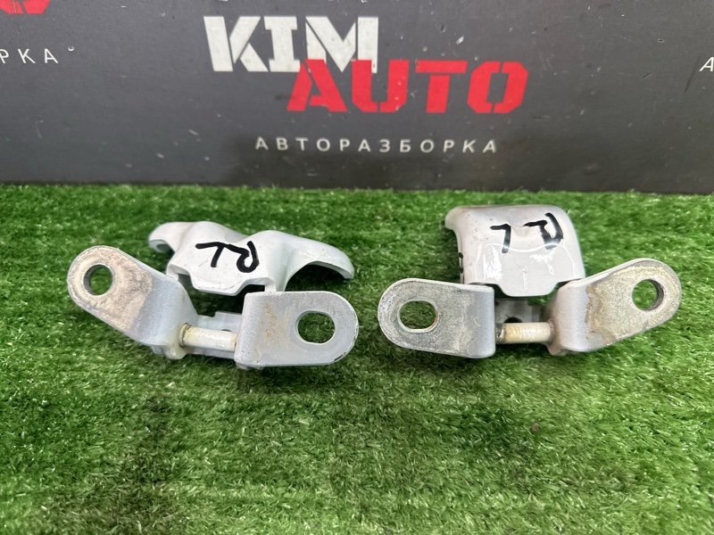 Петли двери Kia Ceed 3 2018 CD