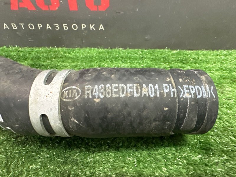 Патрубок радиатора верхний Kia Ceed 3 2018 CD