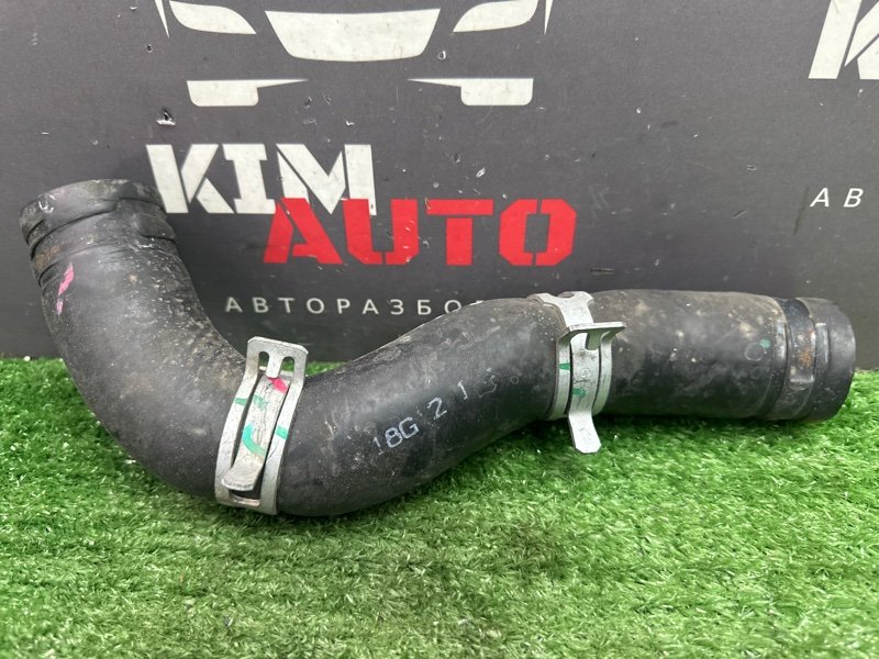 Патрубок радиатора верхний Kia Ceed 3 2018 CD