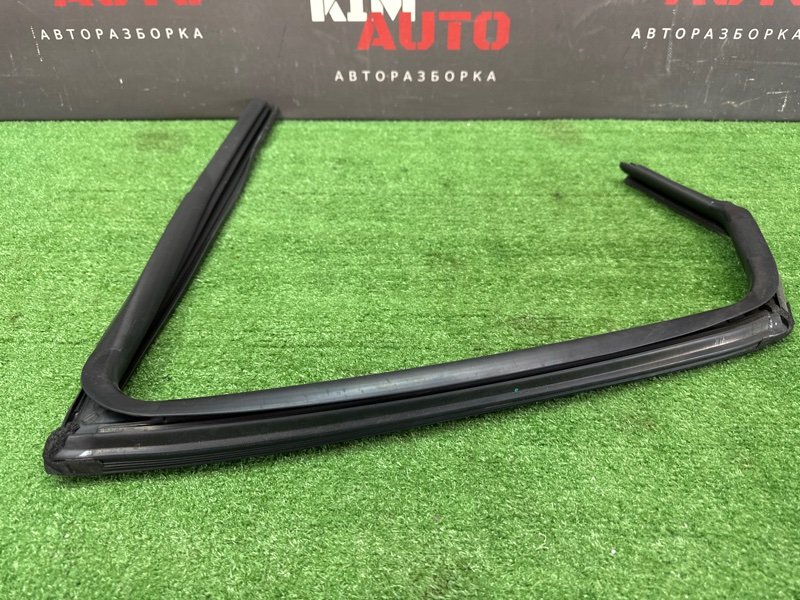 Уплотнитель стекла двери Kia Ceed 3 2018 CD