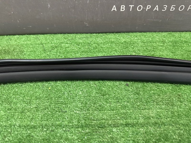 Уплотнитель стекла двери Kia Ceed 3 2018 CD