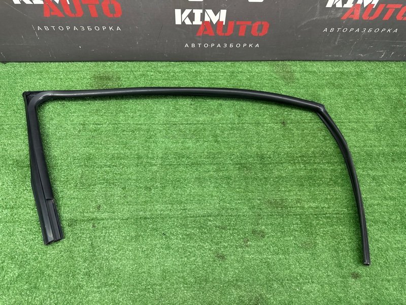 Уплотнитель стекла двери Kia Ceed 3 2018 CD