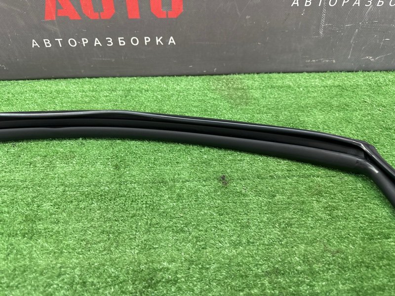 Уплотнитель стекла двери Kia Ceed 3 2018 CD