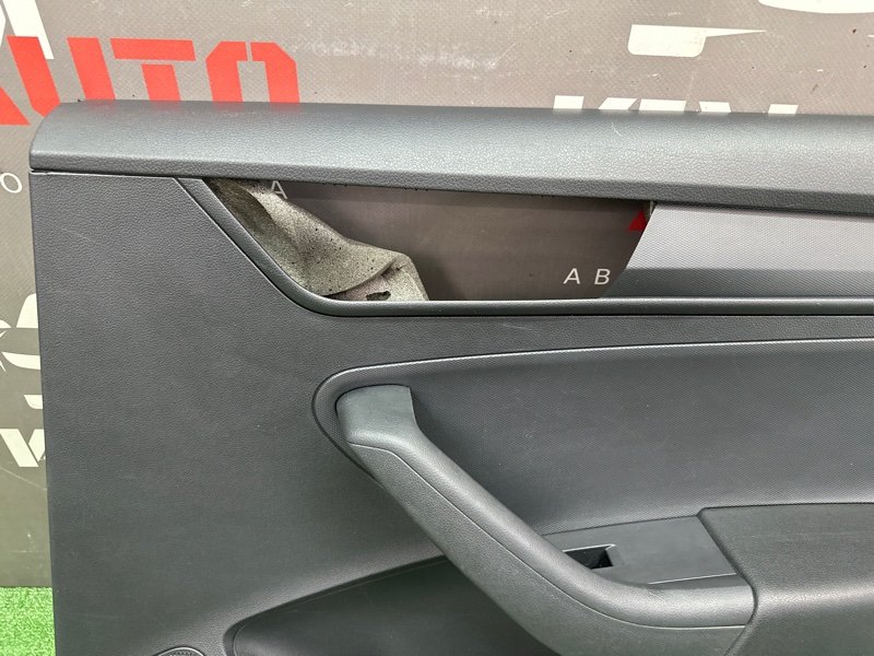 Обшивка двери Skoda Rapid 2 2021 NK6