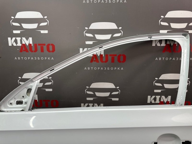Дверь Skoda Rapid 2 2021 NK6