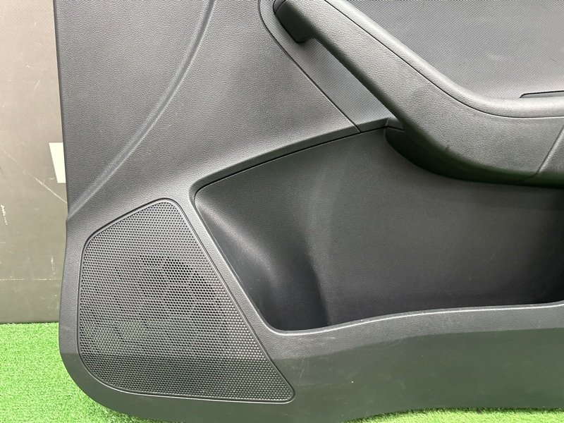Обшивка двери Skoda Rapid 2 2021 NK6