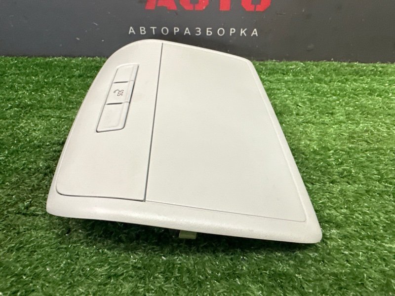 Накладка потолка салона Skoda Rapid 2 2021 NK6