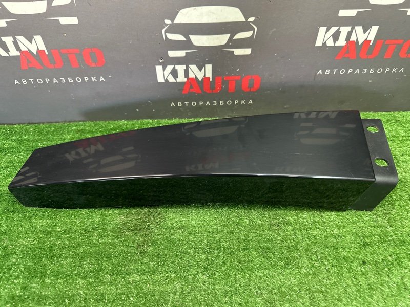 Накладка центральной стойки Skoda Rapid 2 2021 NK6