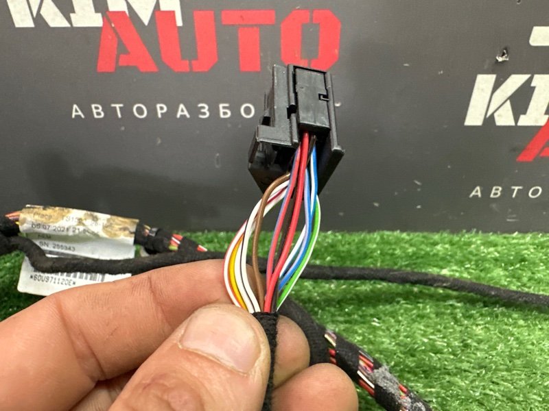 Проводка двери Skoda Rapid 2 2021 NK6
