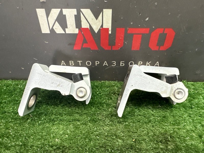 Петли двери Skoda Rapid 2 2021 NK6