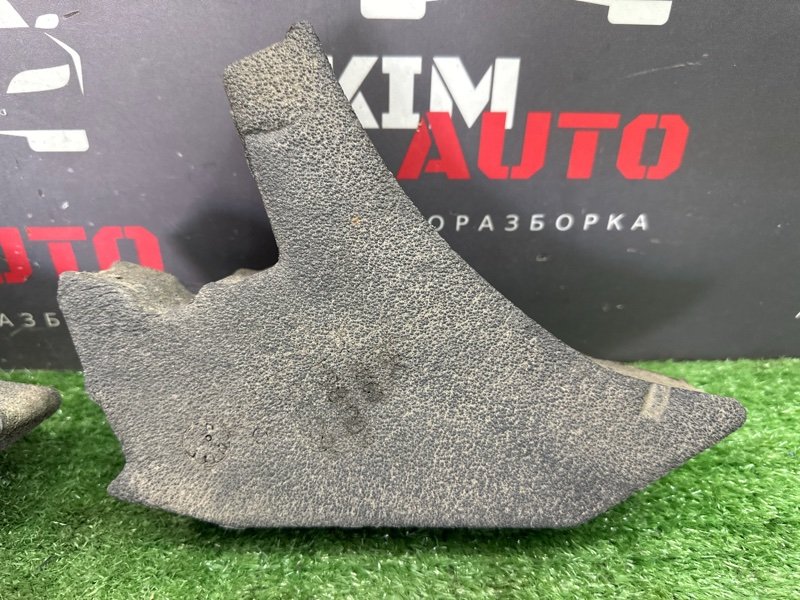 Пыльник крыла Skoda Rapid 2 2021 NK6