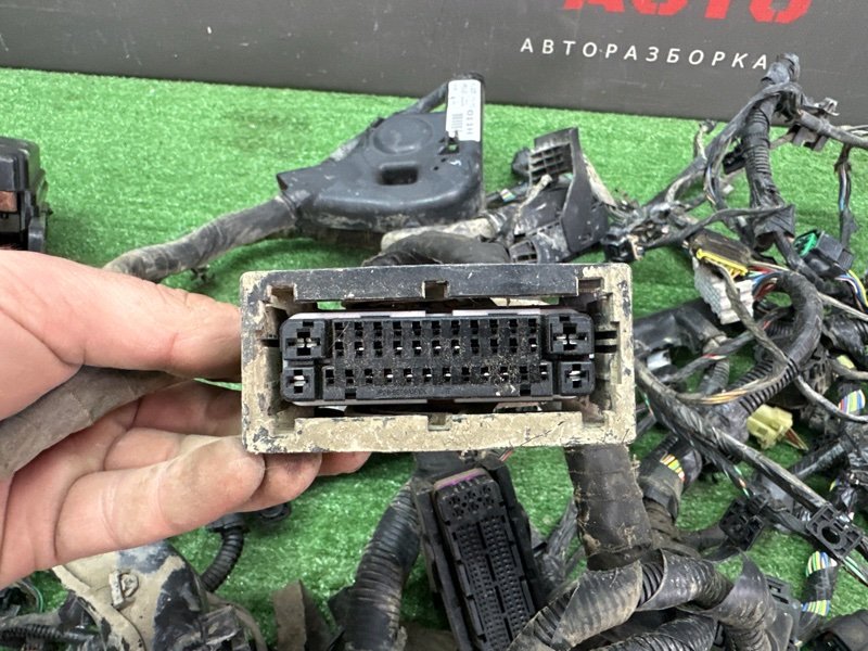 Проводка моторного отсека с блоком предохранителей Kia Cerato 2 2011 TD