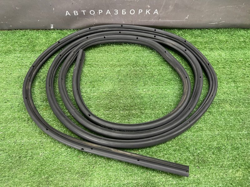 Уплотнитель двери Ford Focus 2 2008 CB