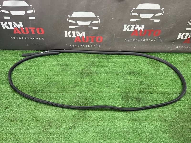 Уплотнитель двери Ford Focus 2 2008 CB