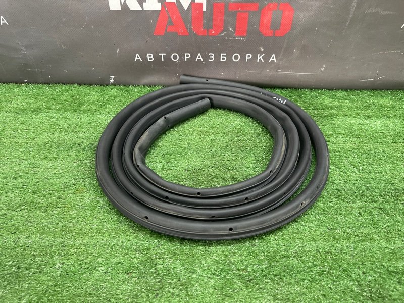 Уплотнитель двери Ford Focus 2 2008 CB