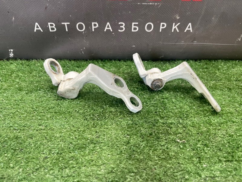Петли двери Ford Focus 2 2008 CB