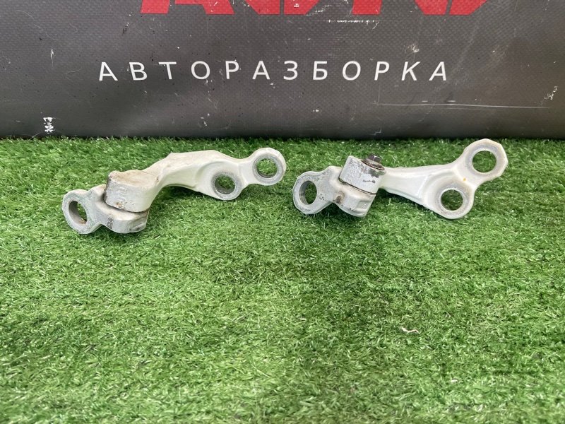 Петли двери Ford Focus 2 2008 CB