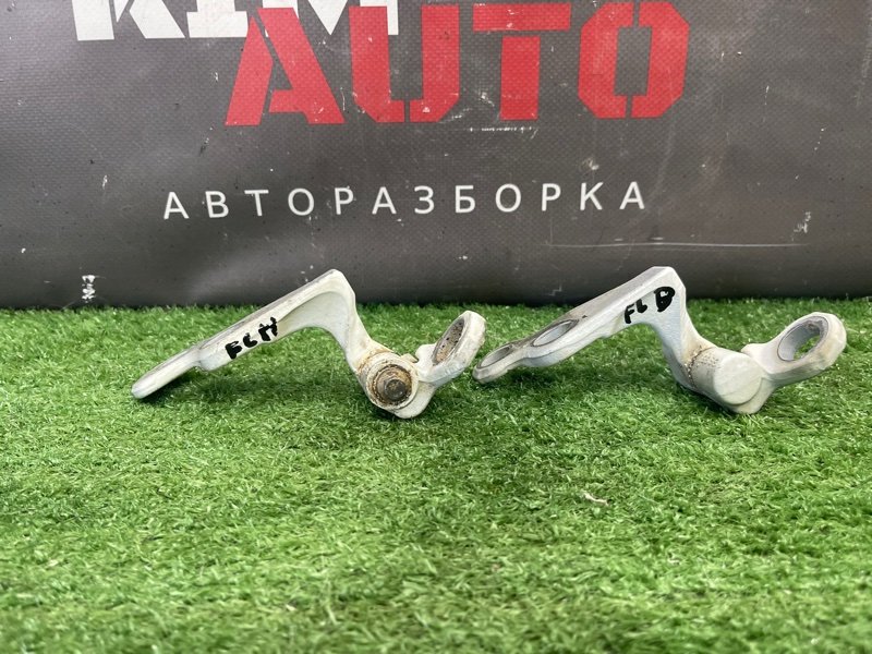 Петли двери Ford Focus 2 2008 CB