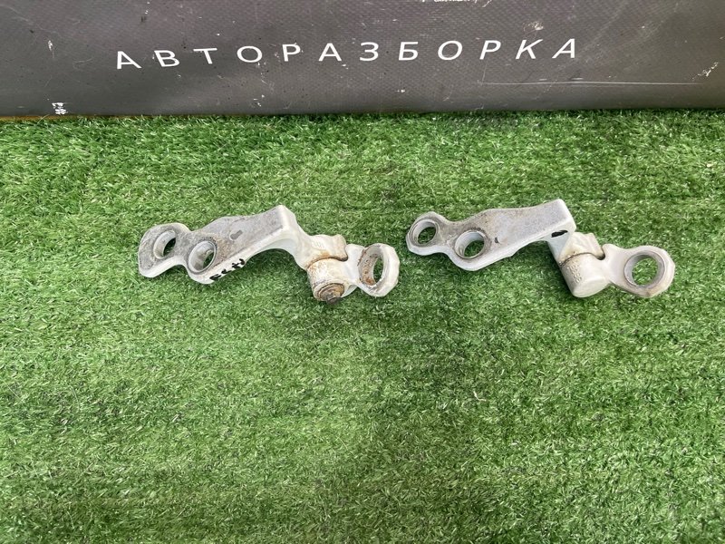 Петли двери Ford Focus 2 2008 CB
