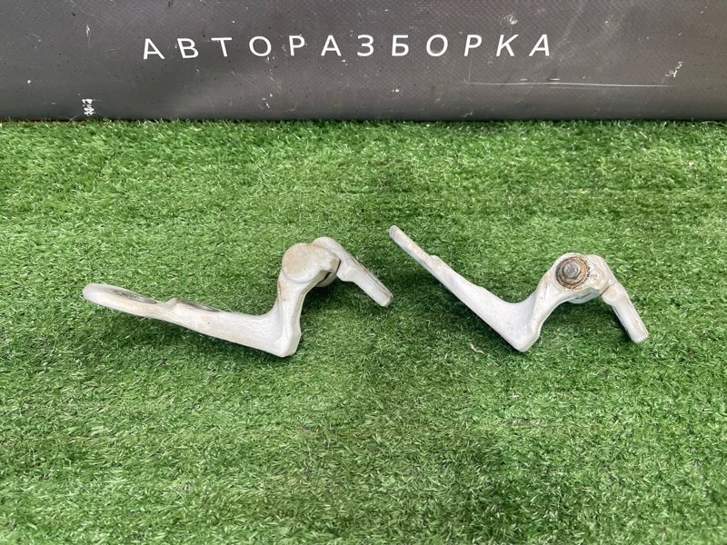 Петли двери Ford Focus 2 2008 CB