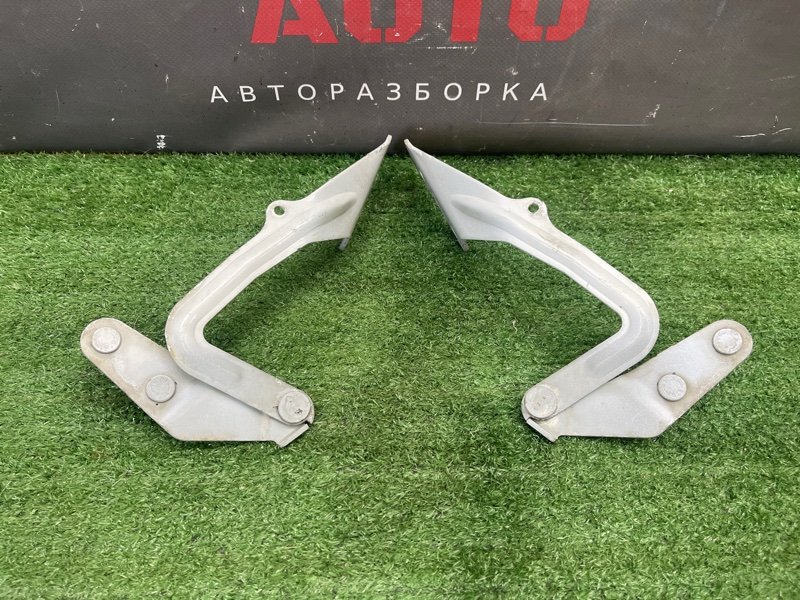 Петли капота Ford Focus 2 2008 CB