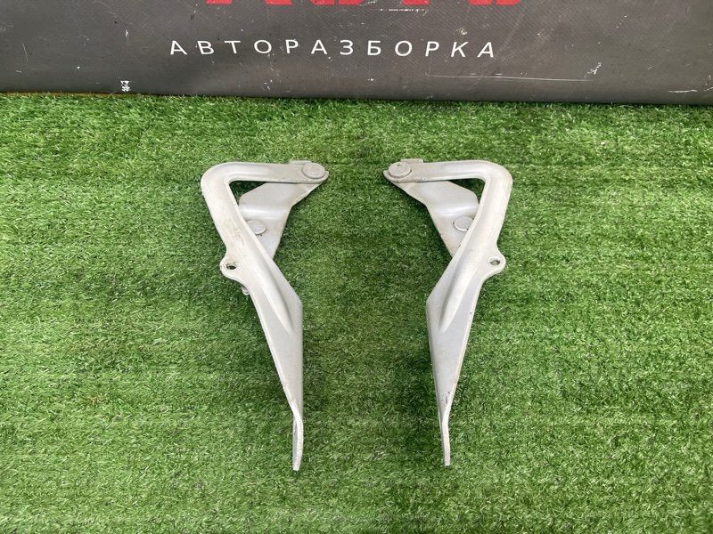 Петли капота Ford Focus 2 2008 CB