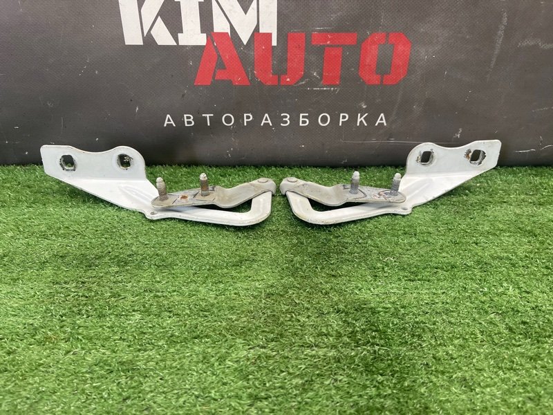 Петли капота Ford Focus 2 2008 CB