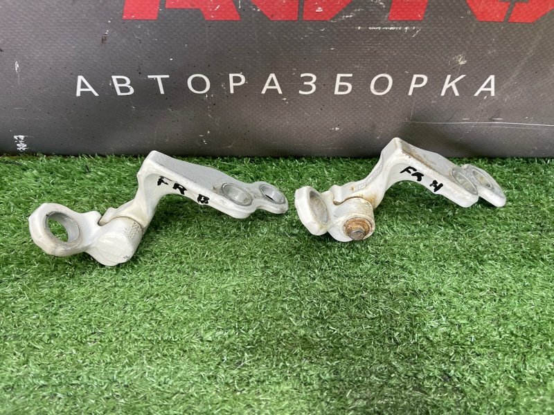 Петли двери Ford Focus 2 2008 CB
