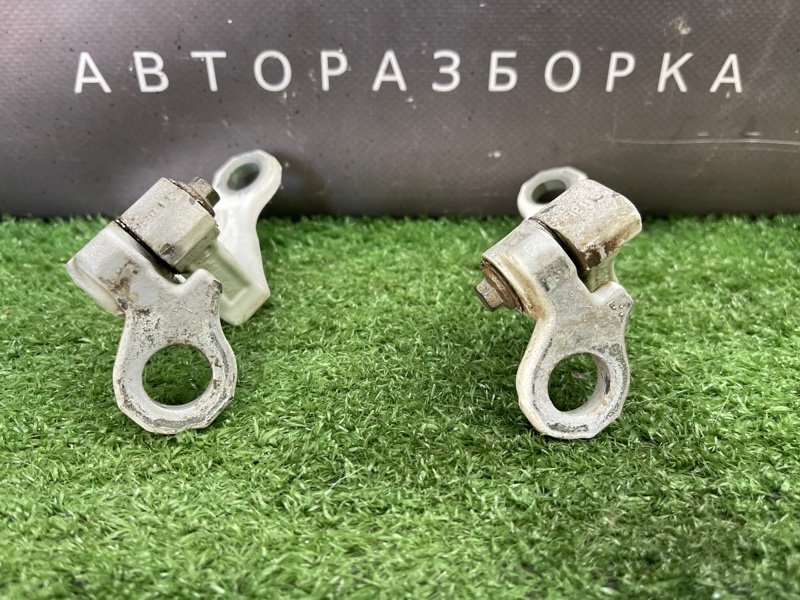 Петли двери Ford Focus 2 2008 CB