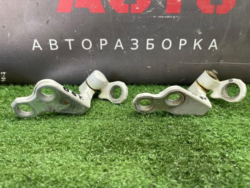 Петли двери Ford Focus 2 2008 CB