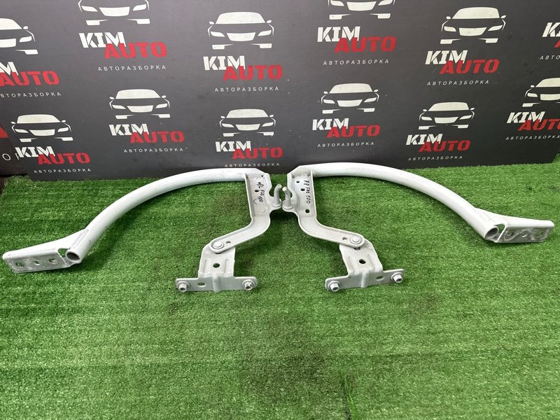 Петли крышки багажника Ford focus 3 2012 CB8