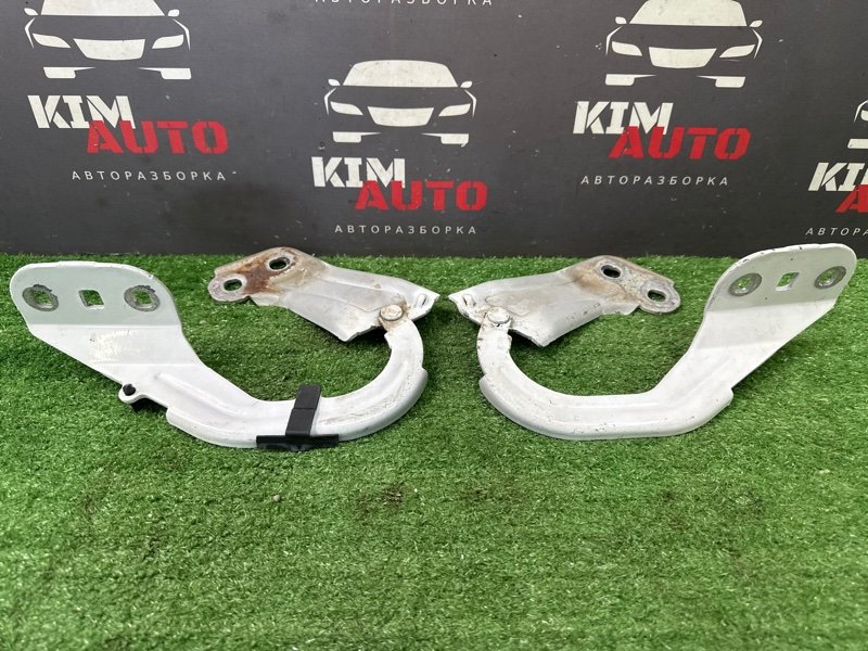 Петли капота Ford focus 3 2012 CB8