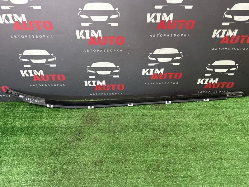 Уплотнитель стекла наружный (Бархотка) Kia Ceed 2 2012 JD