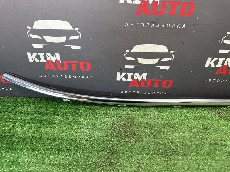 Уплотнитель стекла наружный (Бархотка) Kia Ceed 2 2012 JD