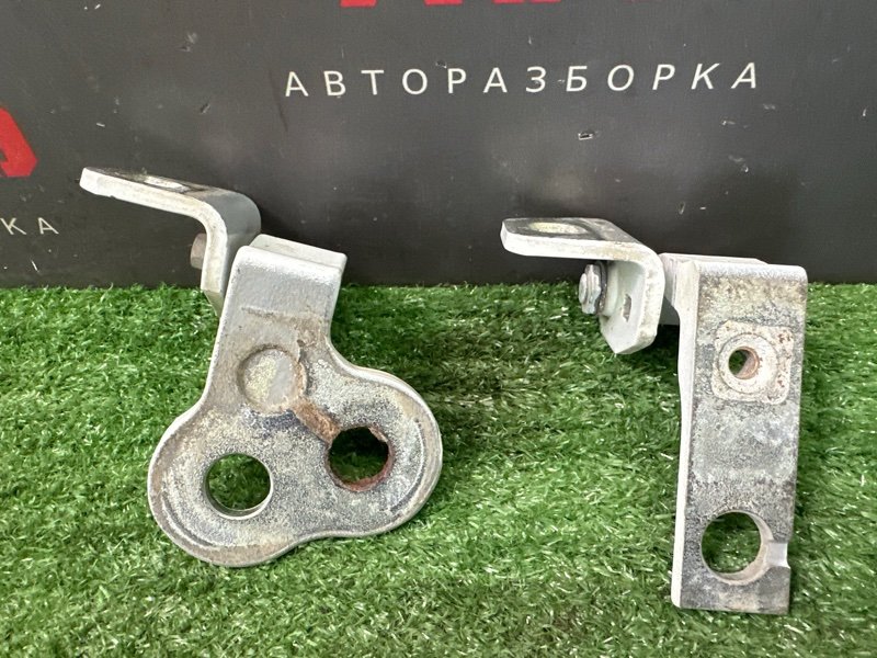 Петли двери Ford Focus 3 HB 2012 CB8