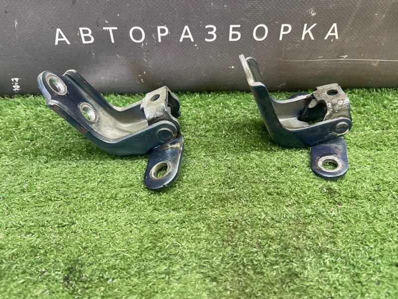 Петли двери Kia Ceed 1 2010 ED